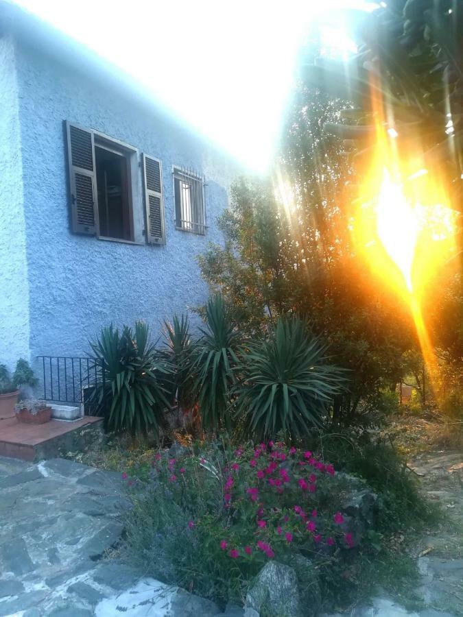 Il Capriolo Panzió Celle Ligure Kültér fotó